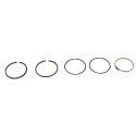 Segments 78mm2.5/2.5/4mm
