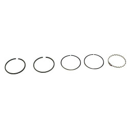 Segments 78mm2.5/2.5/4mm