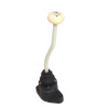 Vintage Speed Classic quick shifter Cox et Karmann-Ghia 