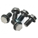 flywheel bolts type4 (5)