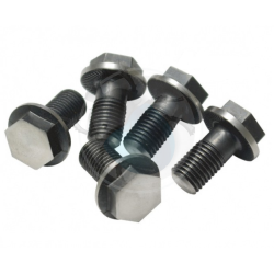 flywheel bolts type4 (5)