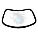 windshield weatherstrip (w/out trim) 1303 brazil