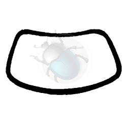 windshield weatherstrip (w/out trim) 1303 brazil