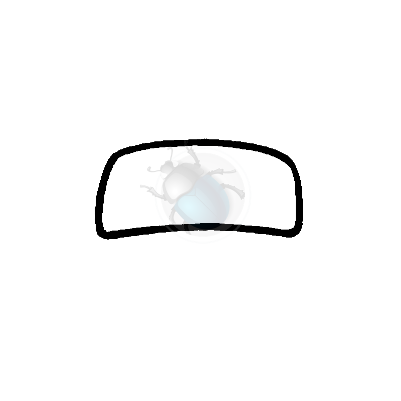 windshield weatherstrip (w/out trim) 65 after