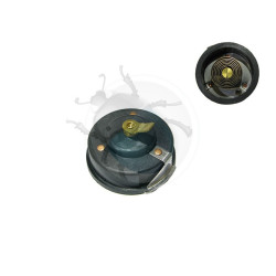 Starter pour WEBER progressif