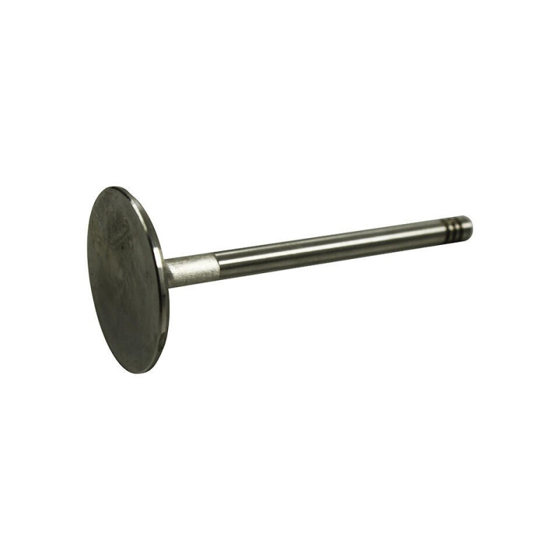 S/S valves 48mm, intake