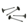 Intake valves 41mm, 8mm guide