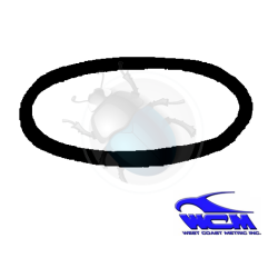 rear window weatherstrip (w/out trim) 53-57 wcm