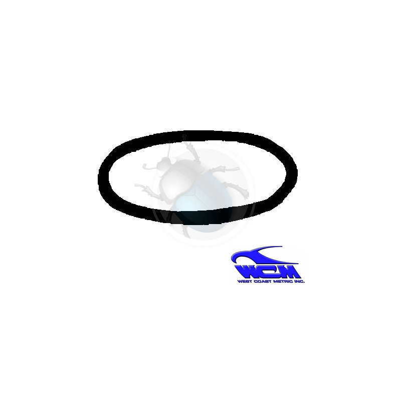 rear window weatherstrip (w/out trim) 53-57 wcm