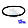 rear window weatherstrip (w/out trim) 53-57 wcm