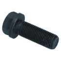 Bolt for Brake caliper lower
