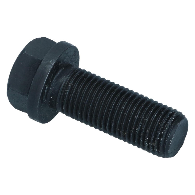 Bolt for Brake caliper lower