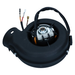 Blower motor