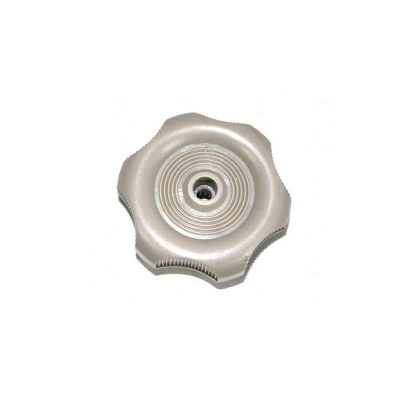 Bouton mécanisme vitre Westfalia Gris
