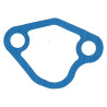 Fuel pump flange
