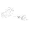 Type 4 engine propeller hub door screw