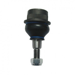 Rotule suspension supérieure 181