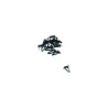 Clips for outside window scraper, 10 pieces, for one car