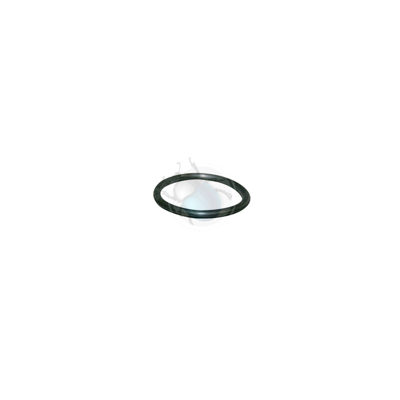 Joint de thermostat diesel