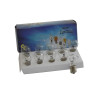 2 Ampoules 12 volt 21W blanche vombi vw
