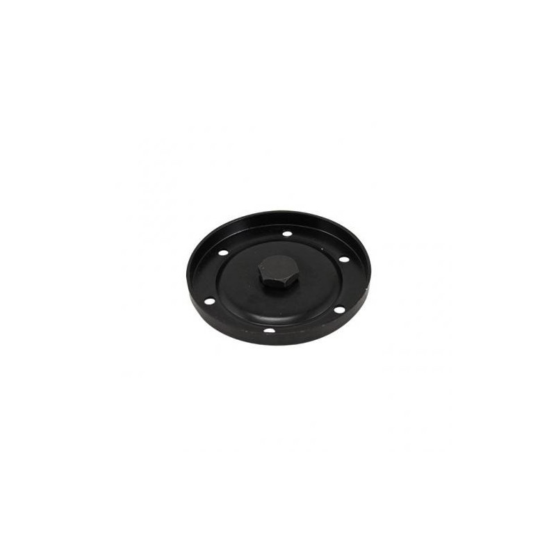Plaque de vidange 25-30cv avec bouchon