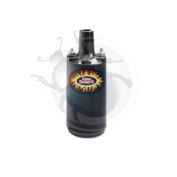 Bobine pertronix noire epoxy 0,6 Ohm 45000 Volts isolation époxy