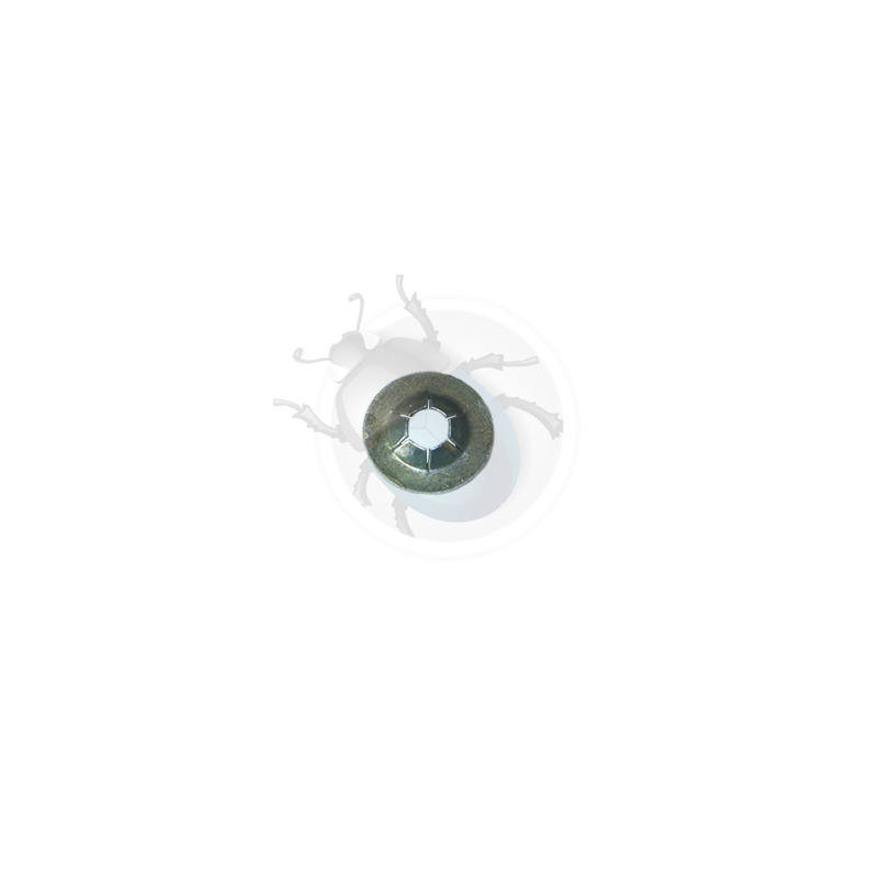 Clip emblème emaillée