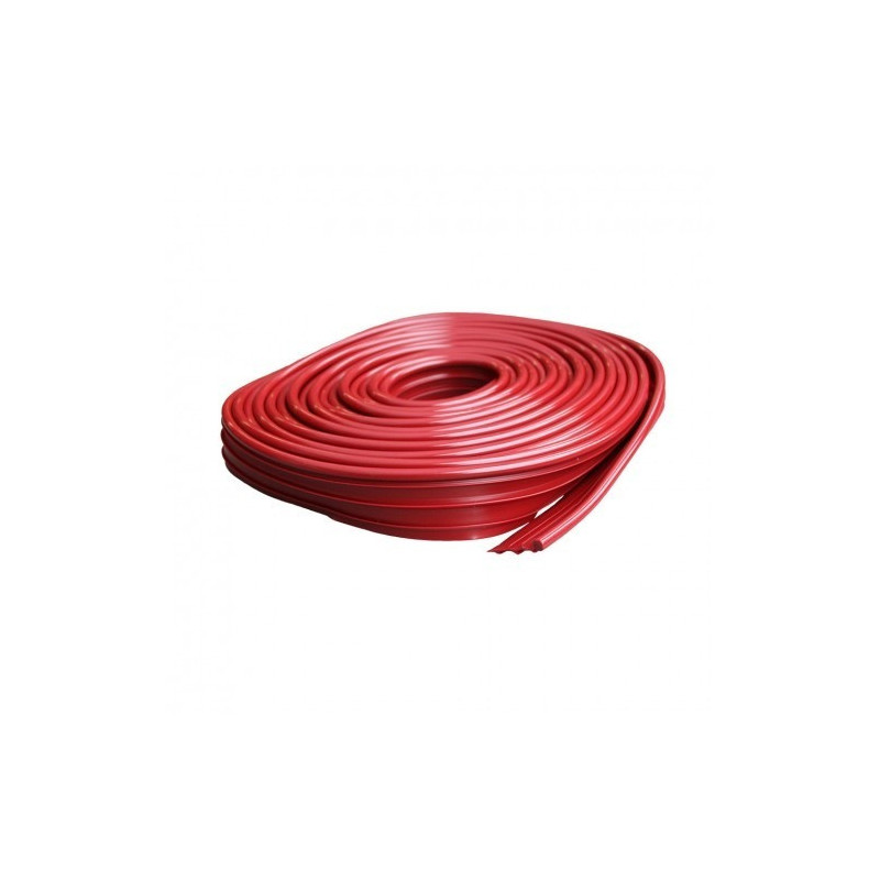 joint d'ailes rubis rouge