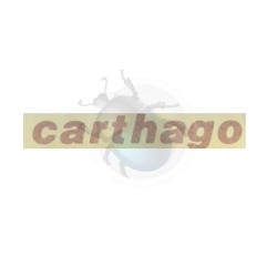 Autocollant carthago rouge 235 x 35