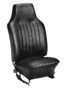 Seat & Belt beetle
