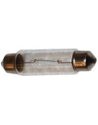 Bulb & Fuse