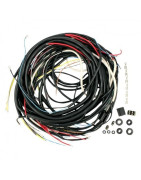 Wiring Loom