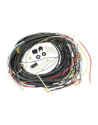 Wiring Loom