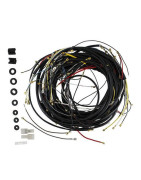 Wiring loom