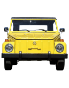 Type 181