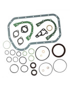 Engine Seals